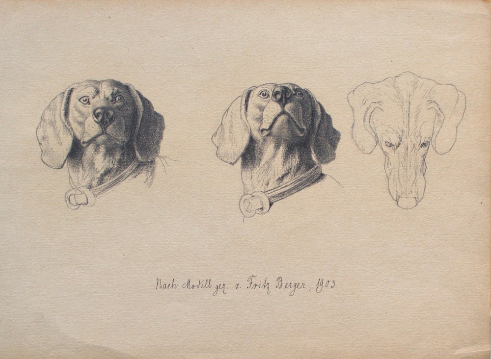 Fritz Berger Drawing Dachshund Graphite Flinzer Zoo Impressionism Signed 1903