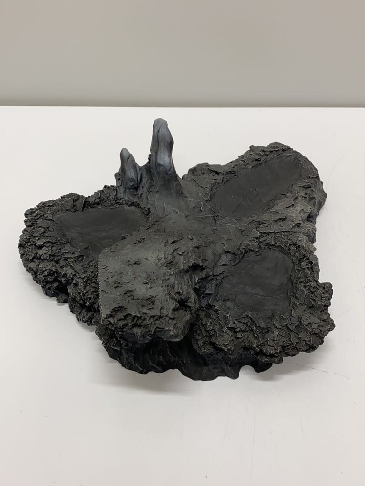 X PLUS Figure