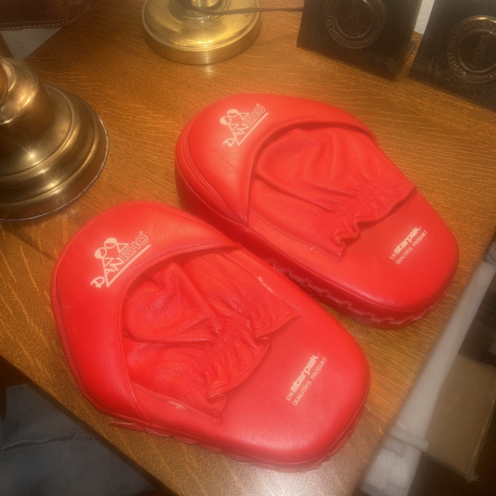 DANRHO Focus Punching Mitt