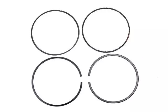 Genuine GM Ring Kit 12735470