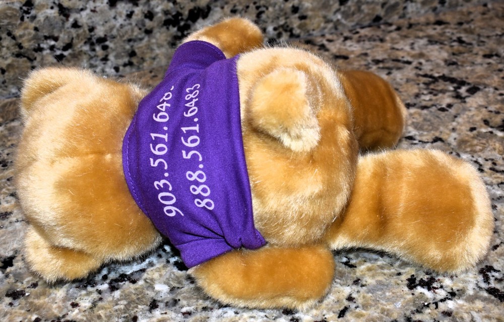 Caring Companion Teddy Bear