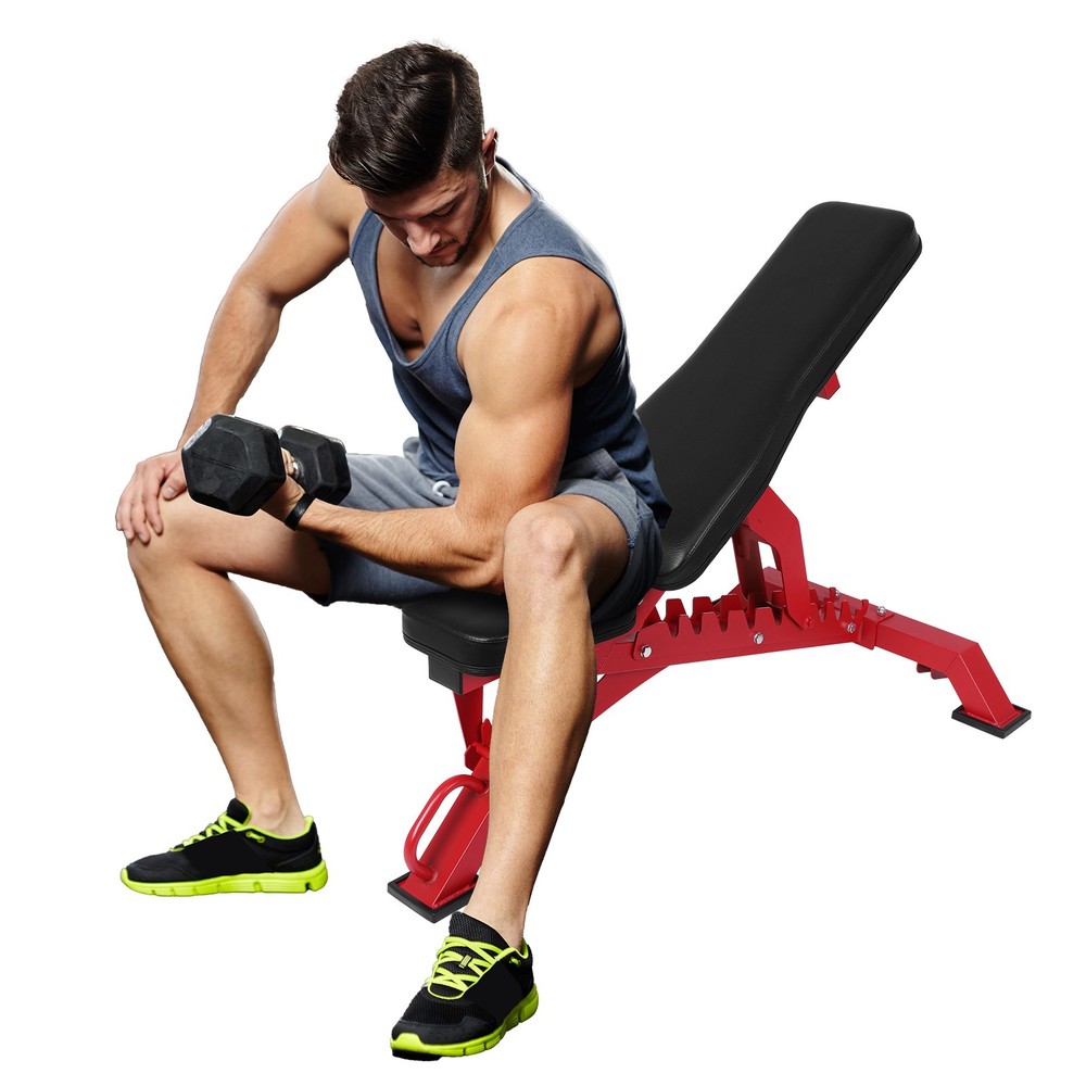 Workout Bench Adjustable Strength Training Bench Exercise Bench for Home Gym