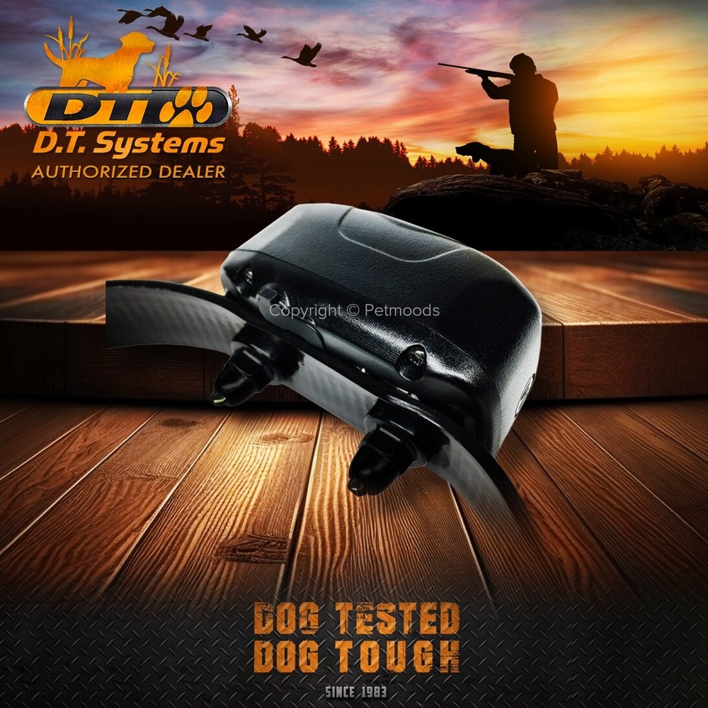 DT Systems DD700 D.O.G. Director 700 Yard Range Training System MAXX-Range 360°