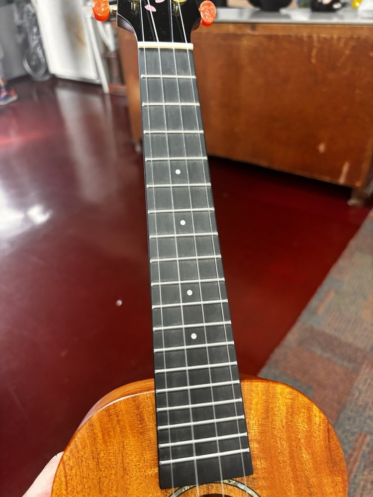 ENYA CONCERT UKULELE