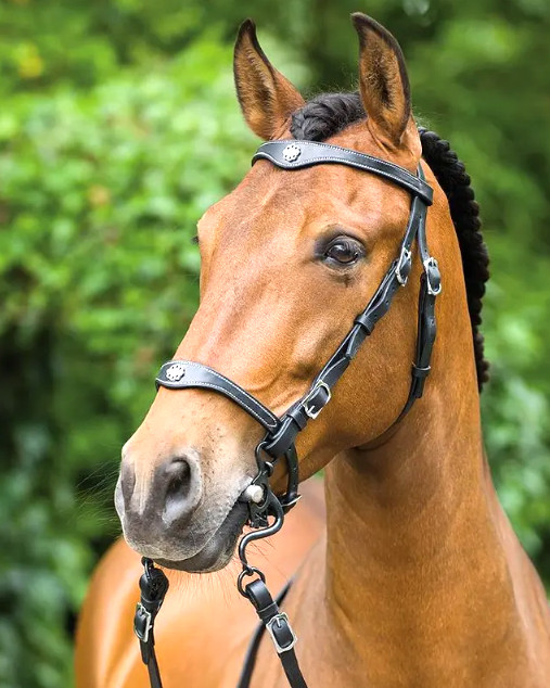 Black Leather Side Pull Bitless Bridle – Adjustable Horse Riding Tack