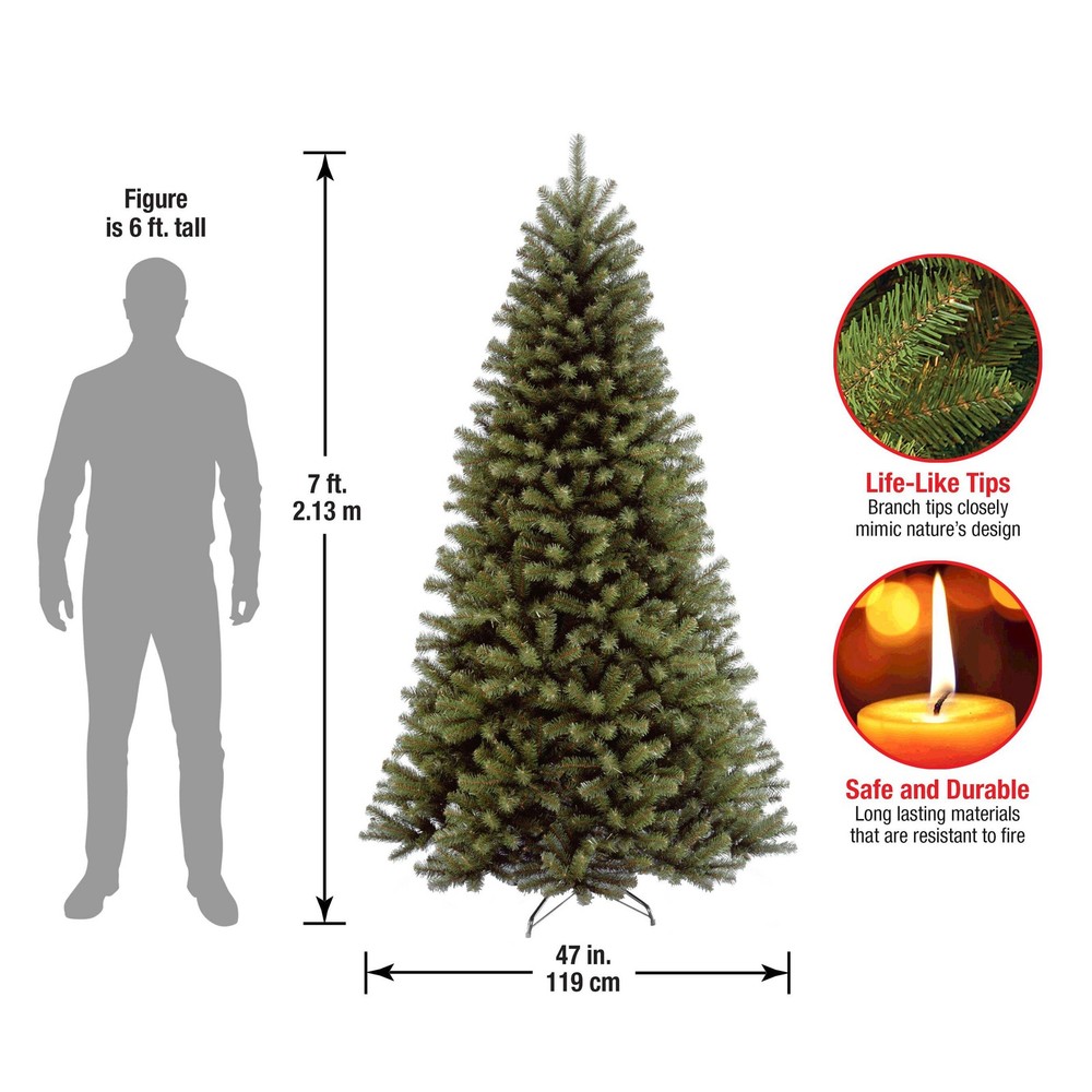 7 ft. North Valley Spruce Tree
