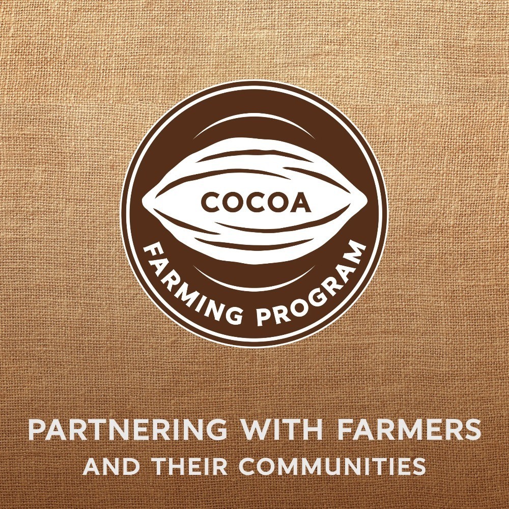 Premium Baking Chocolate Chips 60% Cacao Bittersweet 20 oz Bag for Baking