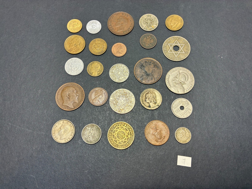 25 ASSORTED FOREIGN COINS LOT 7