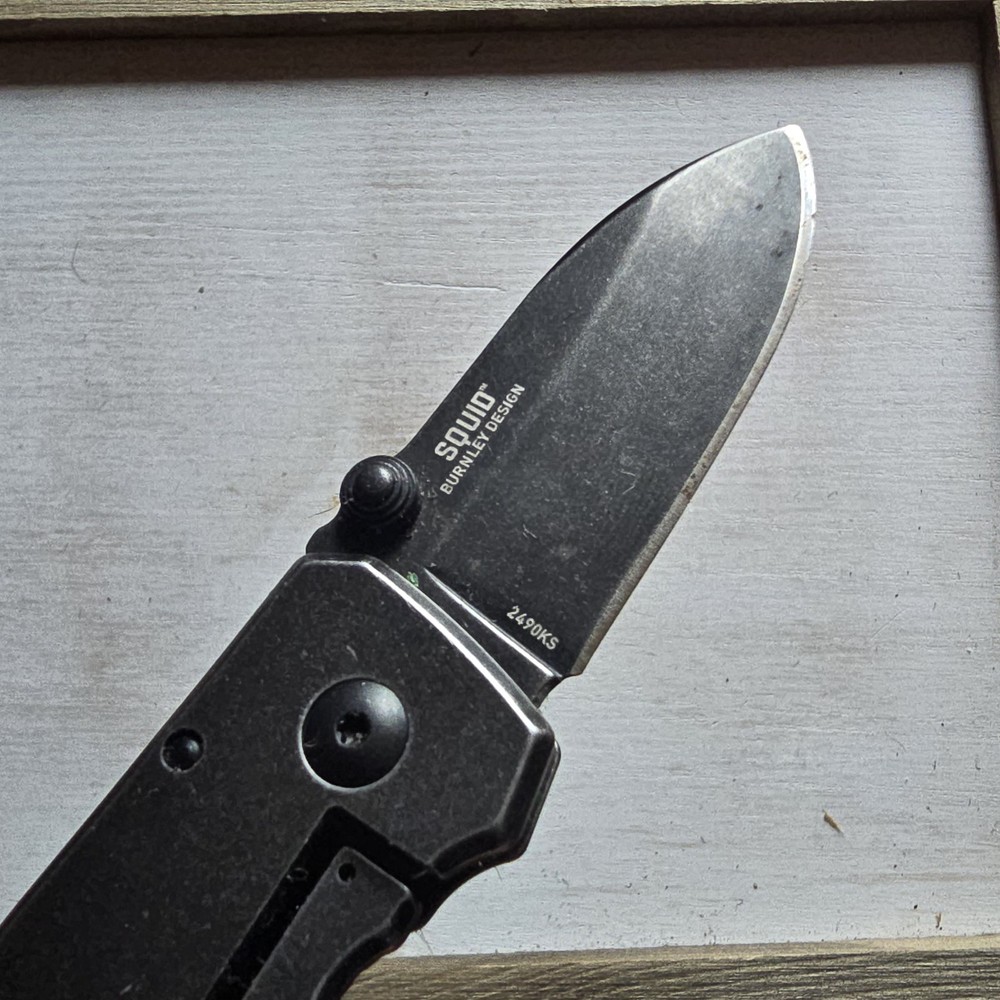 CRKT 2490KS SQUID FRAME LOCK KNIFE PLAIN EDGE BURNLEY DESIGN