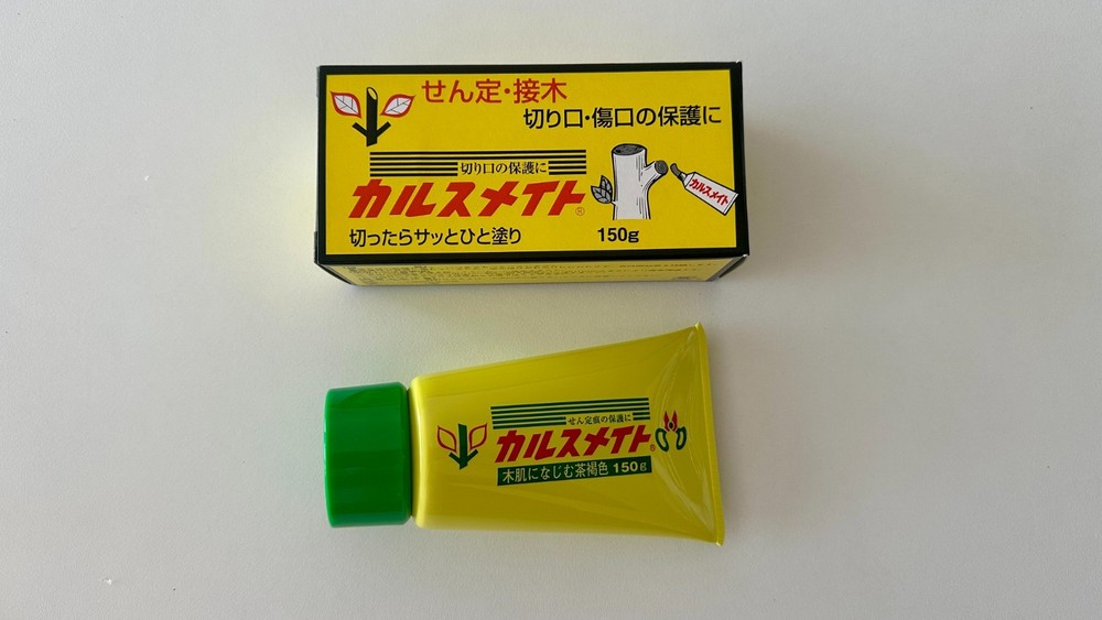 Callus Mate - Karusmate Cut Paste 150g - Japan import