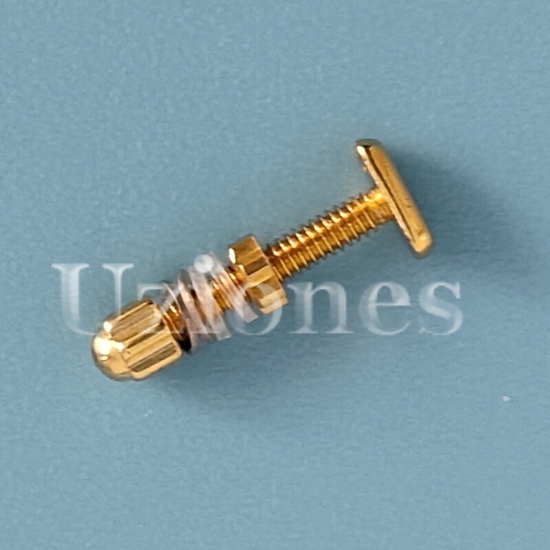 2PCS Curved Rectangle Replace For C ar tier Eyeglasses Screw+Bolt Set Gold Large