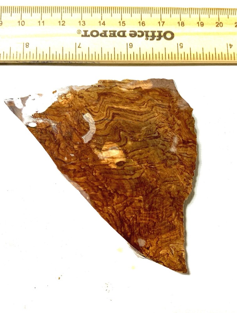 biggs jasper rough slab