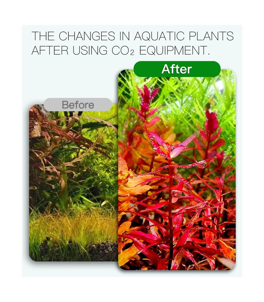 Aquarium CO2 Generator Kit Double Pressurization Enhanced Version, G700S