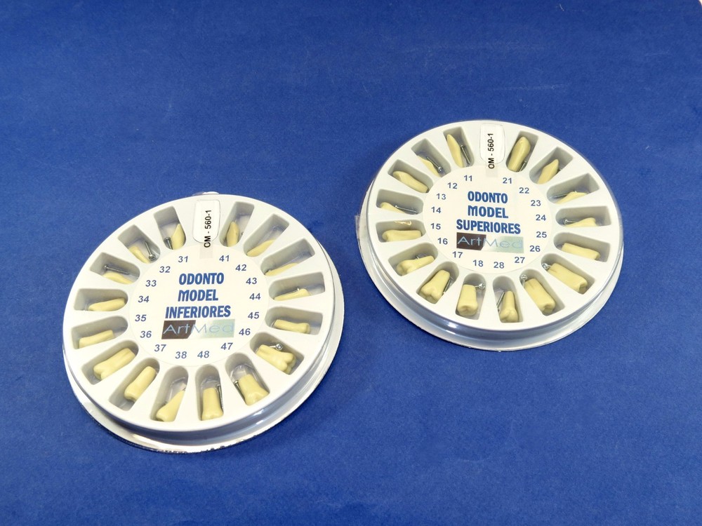 Typodont 560 Universal Plate + Kit Replacement Teeth Upper + Lower ARTMED