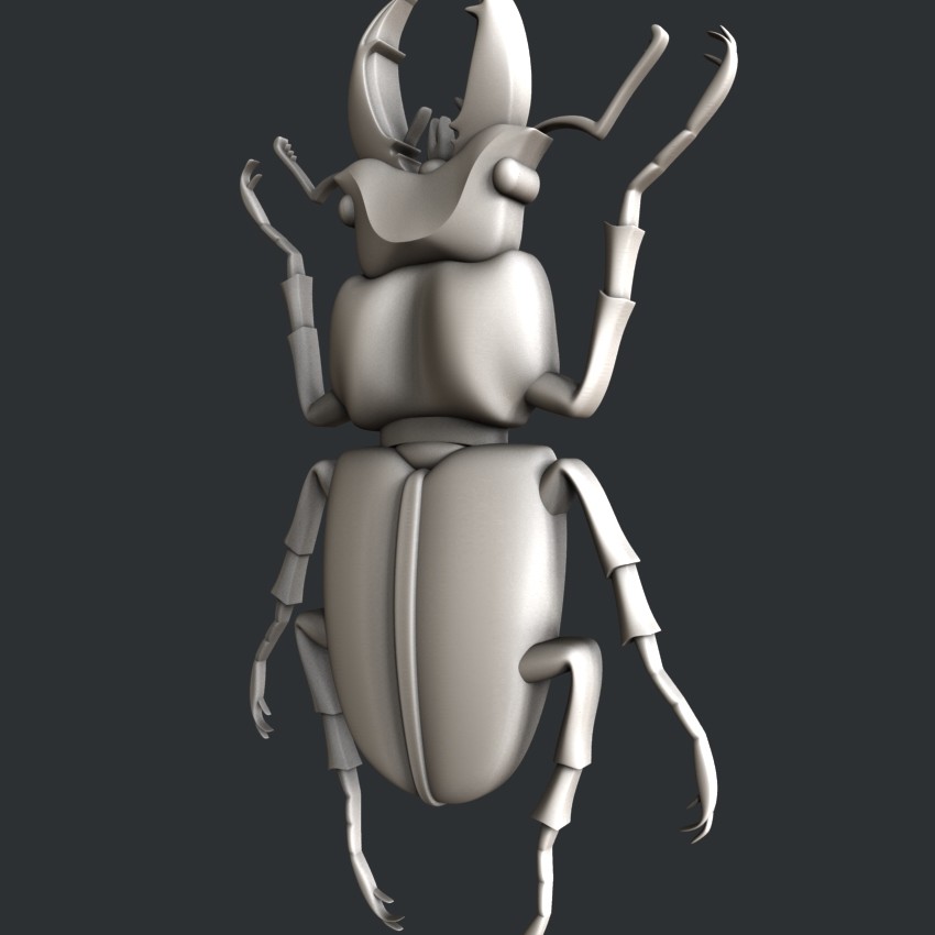 3d STL models for CNC, Artcam, Aspire, relief bug