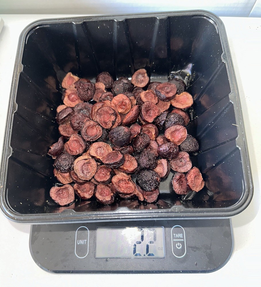 Freeze Dried Fresh Cut Sweet Cherries ~ 2.2 oz Package