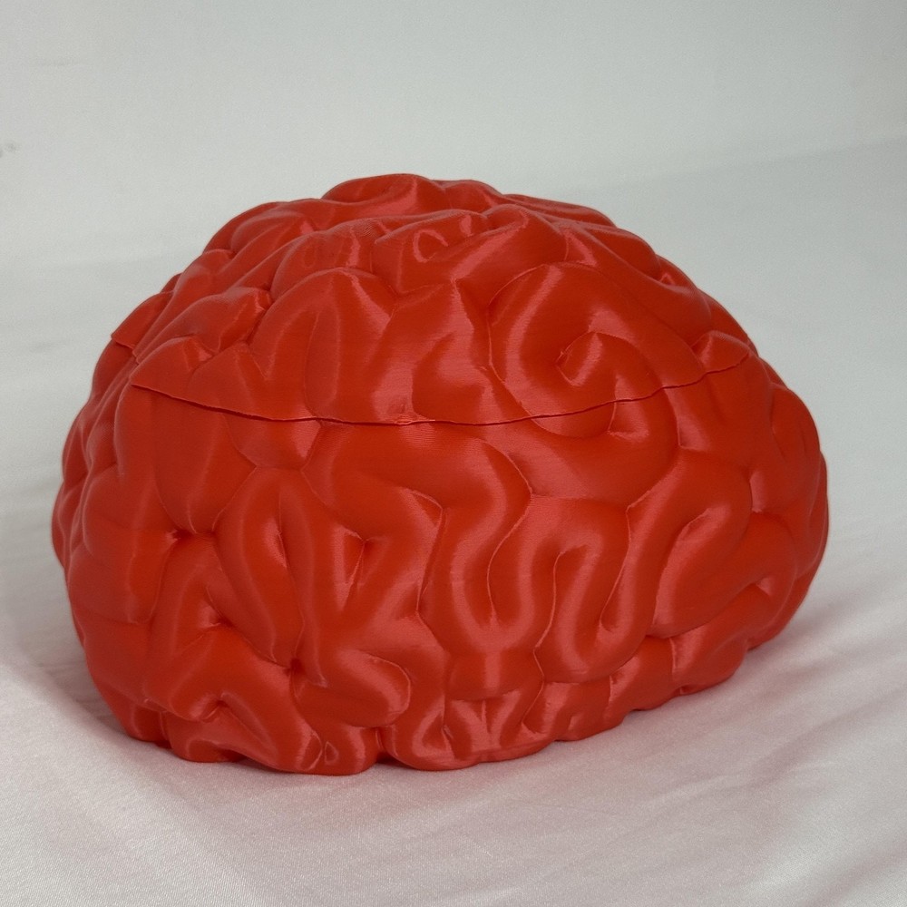 Brain Shaped Storage Box Red Plastic Container Jar Halloween Decor Gift