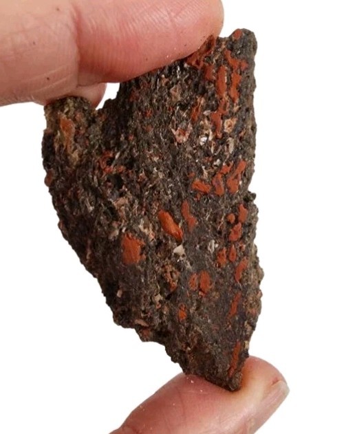 Dinosaur Gem Bone Slab 20.9 grams.