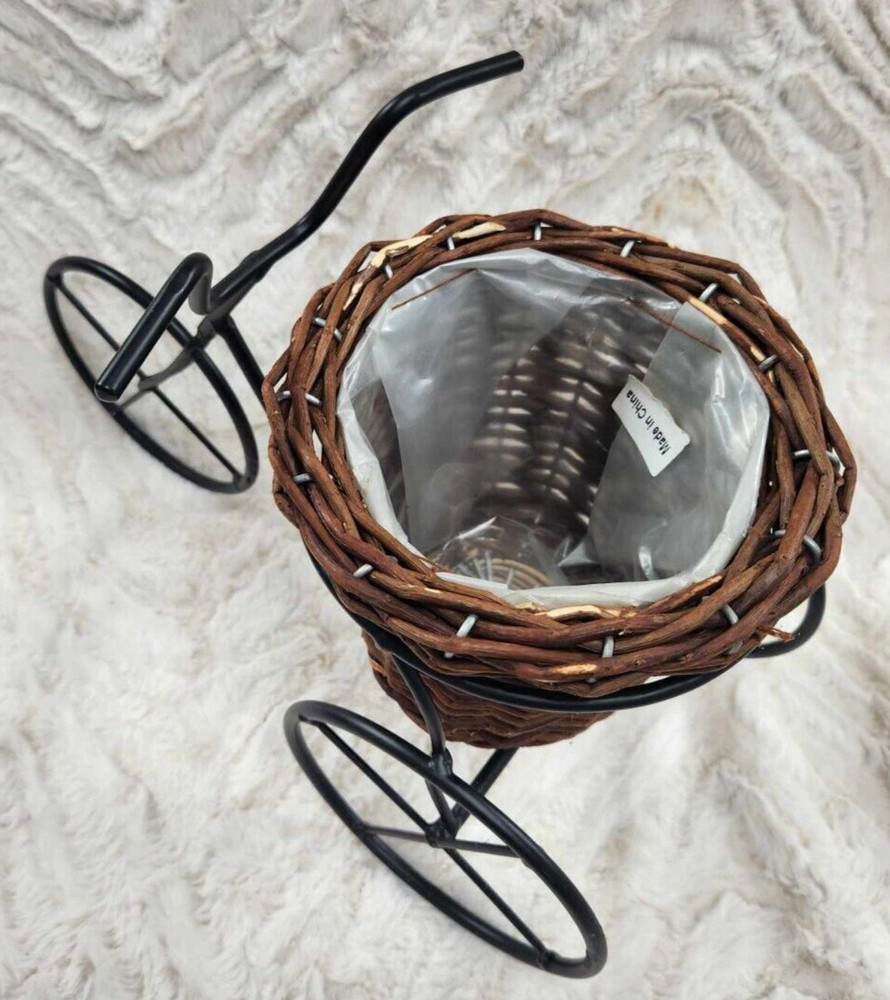Tricycle Catchall Wicker Iron Planter