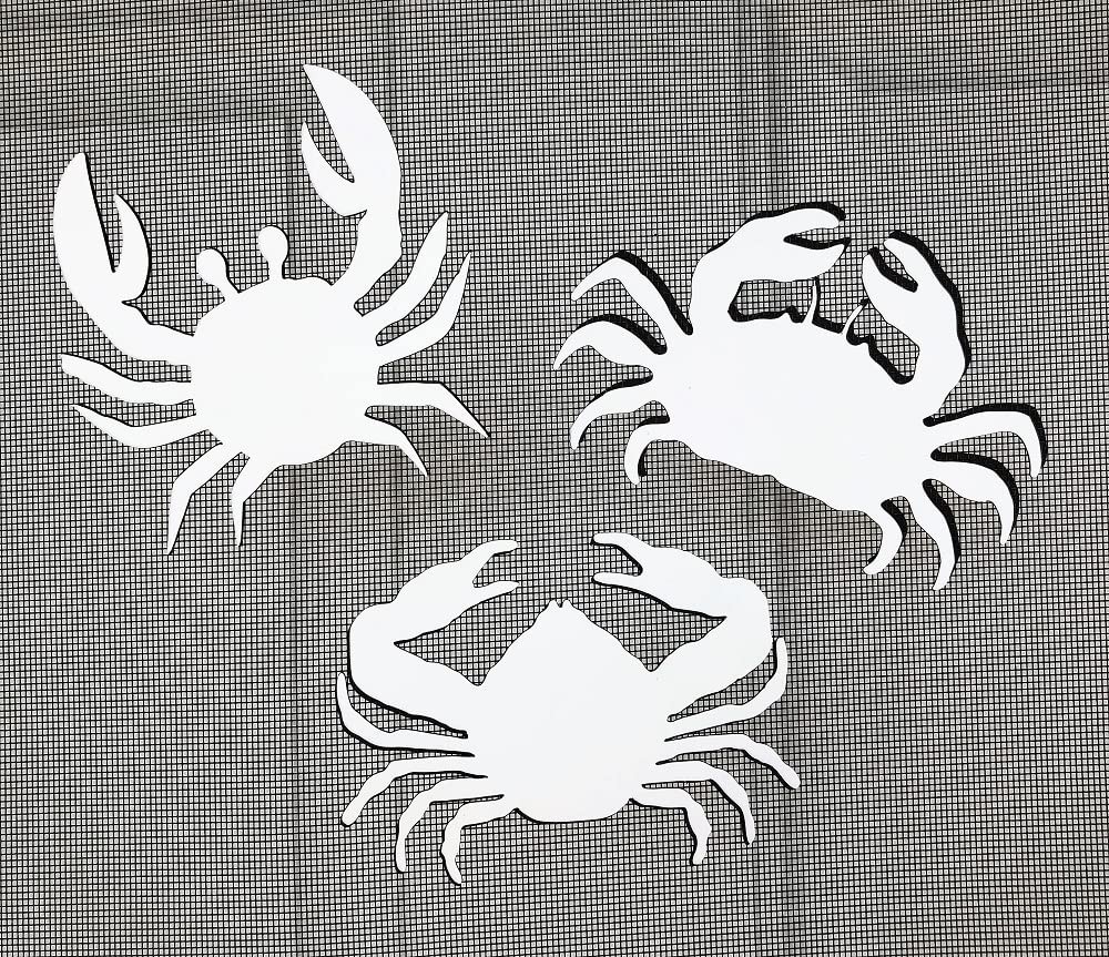 DCentral® Three Crabs Flexible Safety Screen Magnets:Double-Sided. Bright White