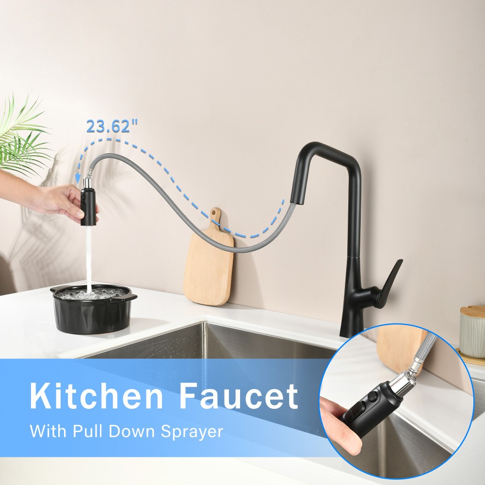 Professional 3 Function Kitchen Faucet Matte Black 360° Sprayer