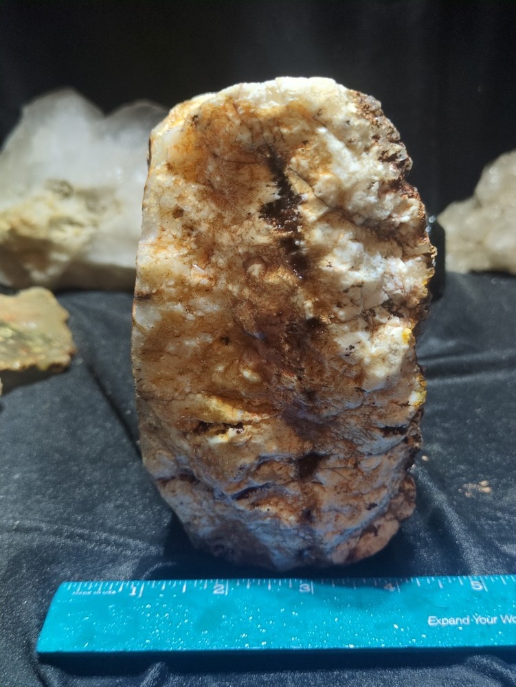 Graveyard Plume Agate w/ Dendric Specimen Natural Form (4lbs 12oz)