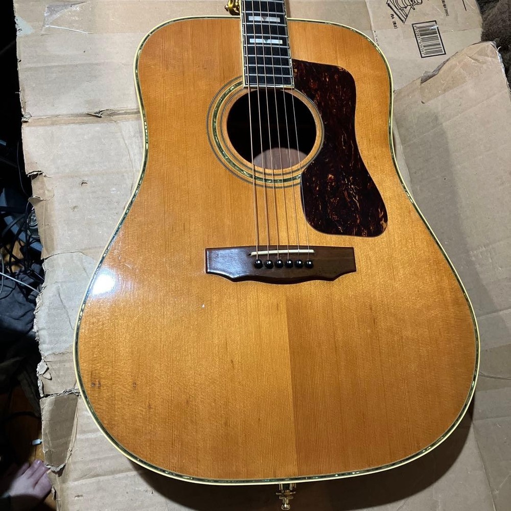 Mysterious Domestic Guild Model