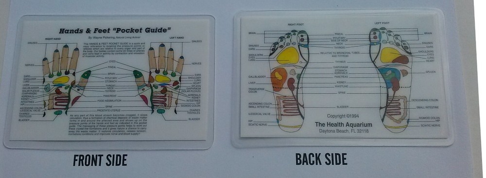 REFLEXOLOGY, HANDS & FEET WALLET CARD - LAMINATED