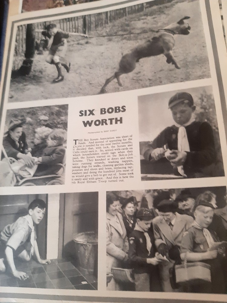 Royal Newspaper Scrapbook