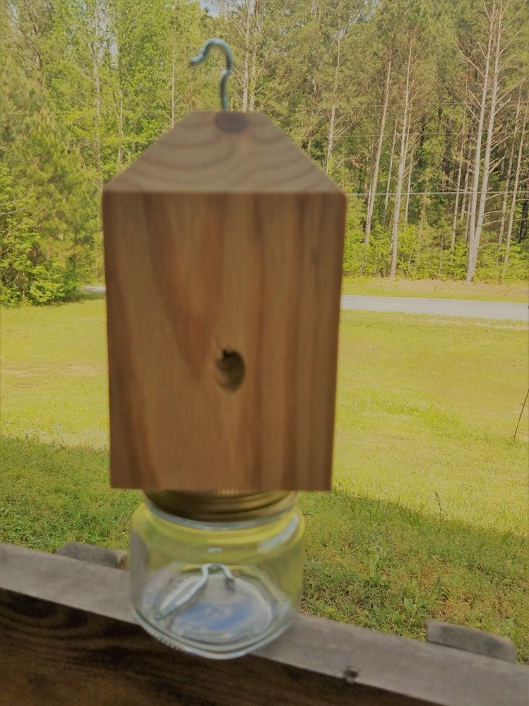Boring /Wood Bee Catcher  Trsp
