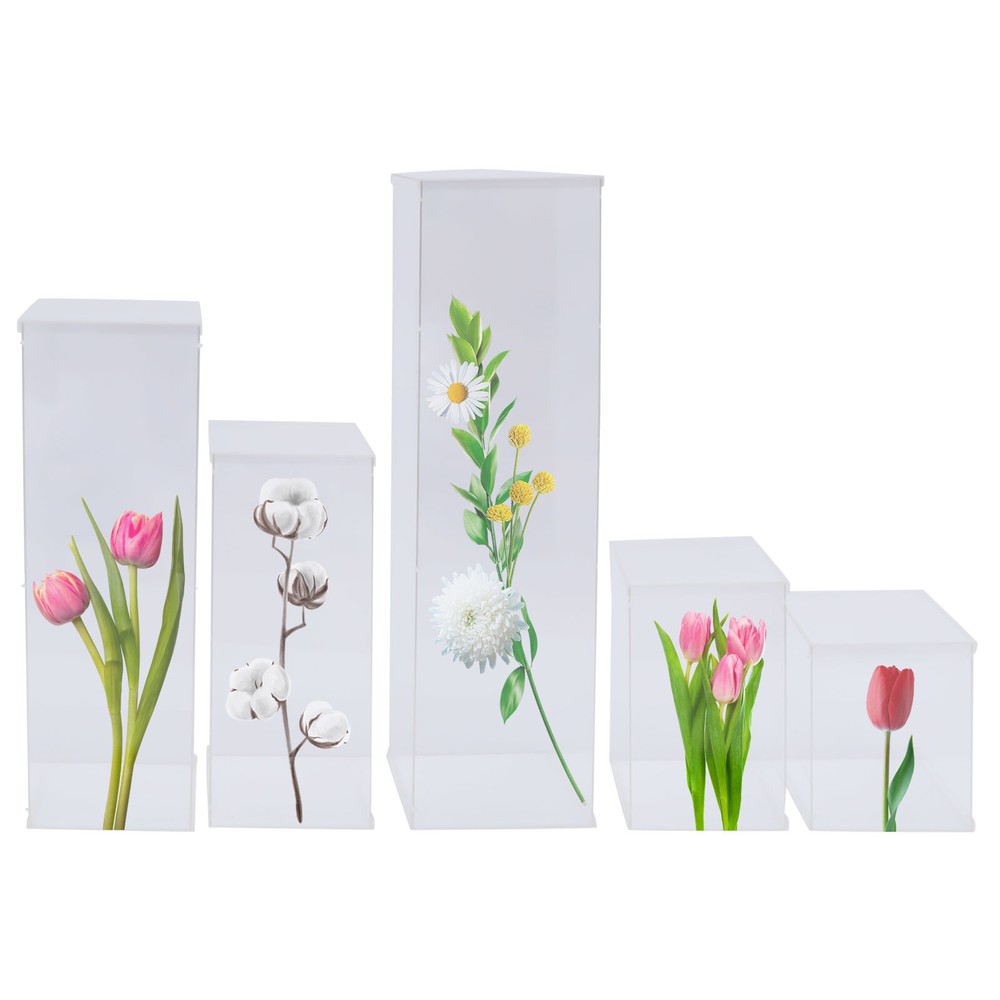 Acrylic Display Box Rectangular Floral Display Box Freestanding New 5 Pieces