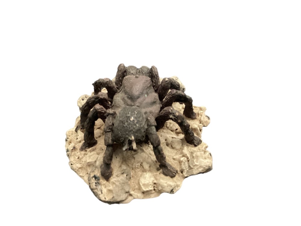 The Skull Collection - From the Summit Collection and Pacific Giftware-7 figures