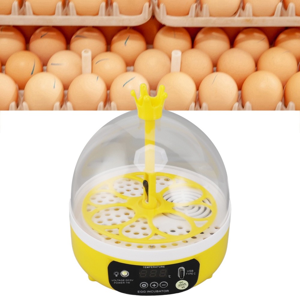 Automatic Temperature Control Mini Egg Incubator For Home Chicken Hatching