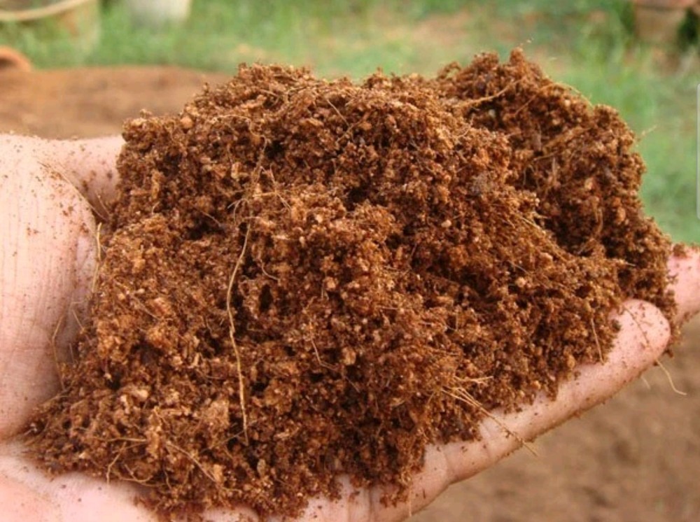 Lot of 4 Pack coco coir brick