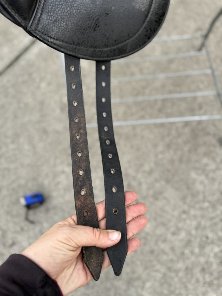 17.5” Schleese Infinity Dressage Saddle