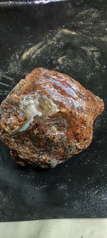 Specimen Blue Chalcedony Beautiful Agate Geode Collector Special