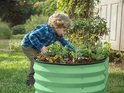 Galvanized Raised Garden Beds Outdoor // 4××1 ft (-Pack) Planter 2 Light Green