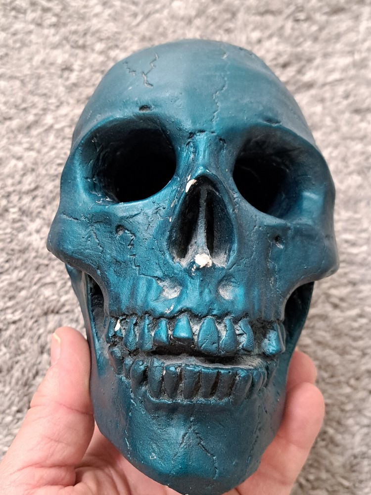 Skull