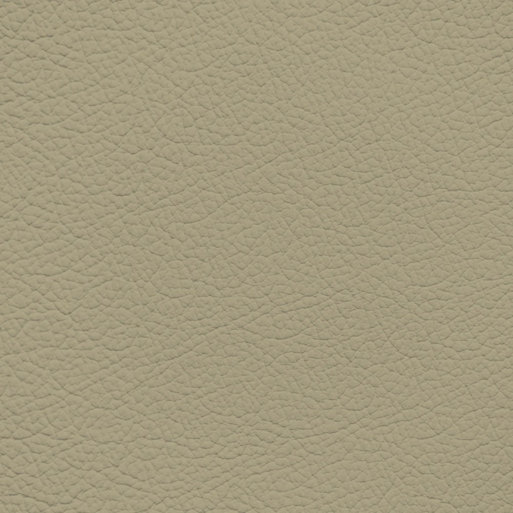 Mercedes Champignon Leather Dye