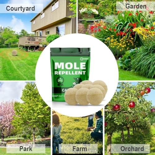 AERROATCH Eliminates Land Moles - Effectively and Environmentally