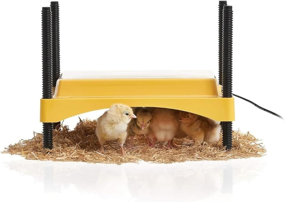 Energy-Saving 12 Watt Brooder Plate - Ideal for Newborn Chicks & Ducklings