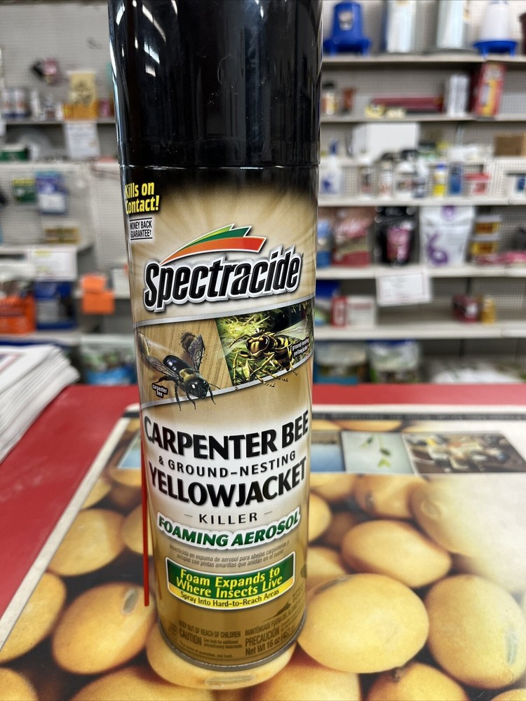 CARPENTER BEE, GROUND BEE  AND YELLOW JACKET SPRAY   4  CANS
