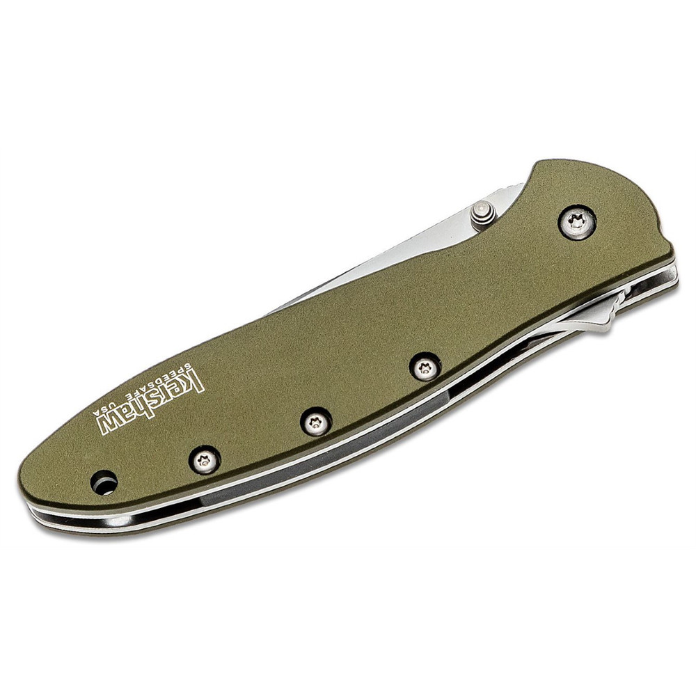 Kershaw Leek Assisted Open Liner Lock Drop Point Blade EDC Folding Pocket Knife