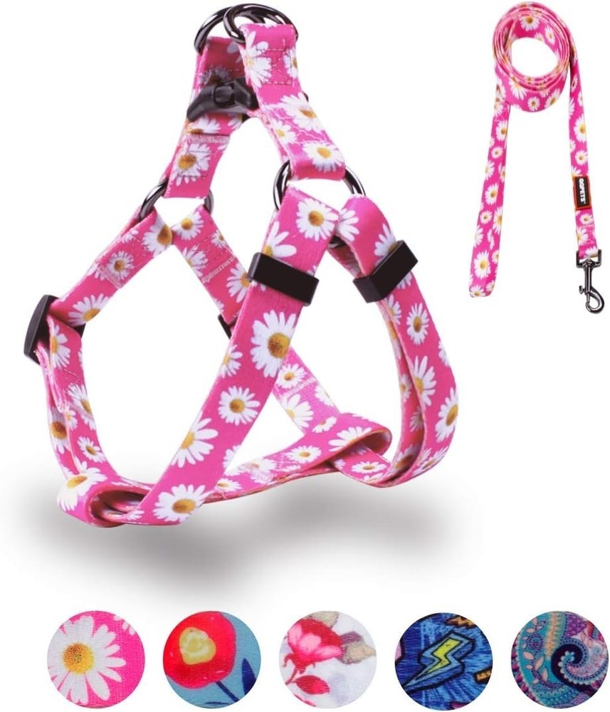 Dog Harness Leash Set Adjustable Heavy Duty No Pull Halter Harnesses Small