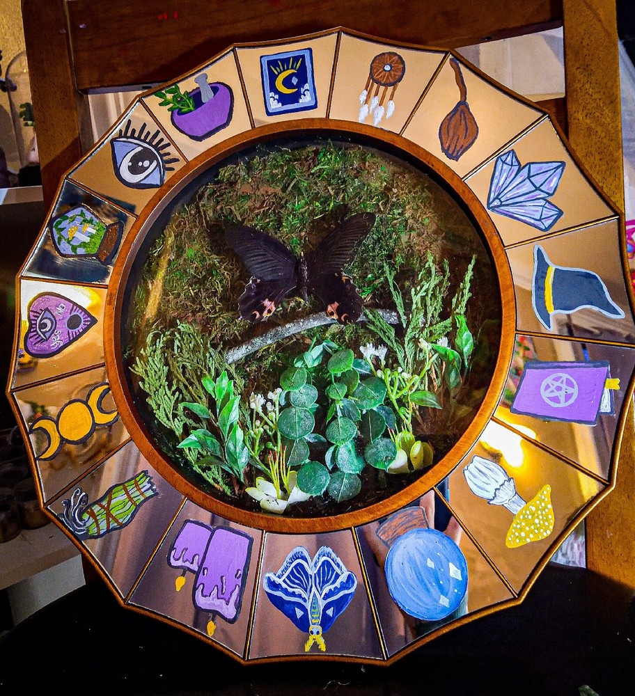 butterfly display