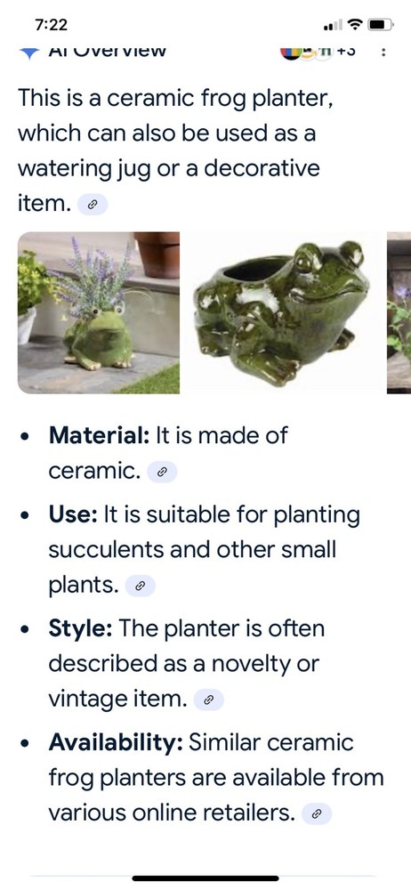 Frog Pitcher Made In Pottery