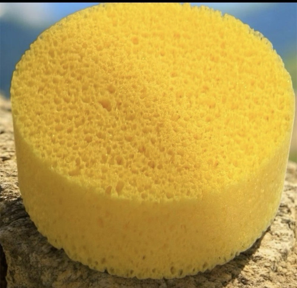 Sponge xlarge Soft Cheese Sponge