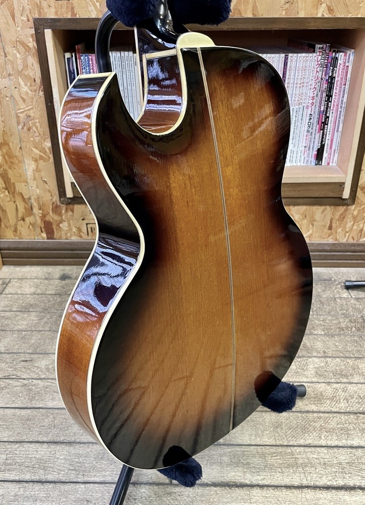 Washburn Ea-20 Safe delivery from Japan