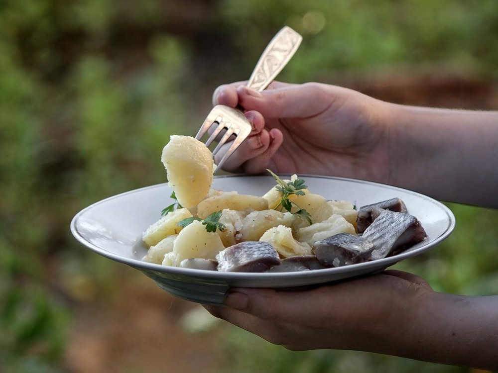 Multi-Purpose Eco-Friendly Stainless Steel Camping Dinnerware Kit - 5 Pieces