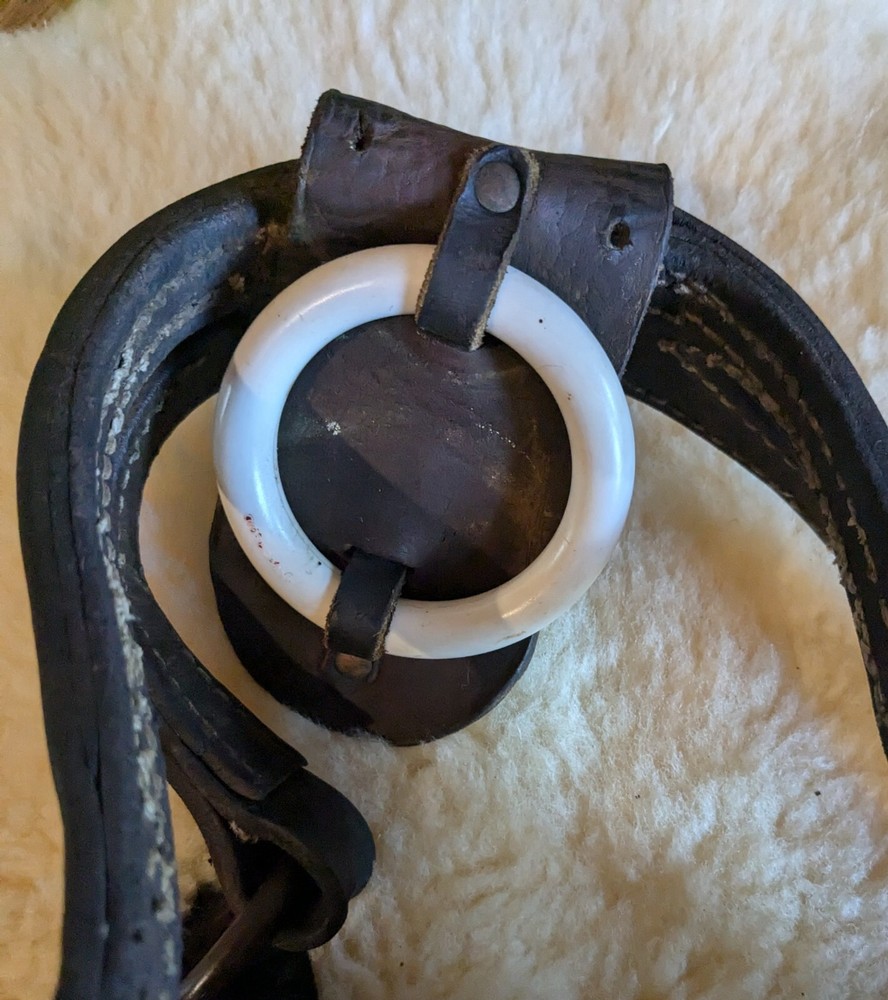 Vintage Driving Bridle